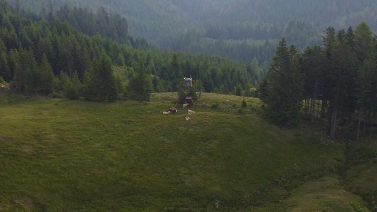 Photo of Others in Wolfsberg