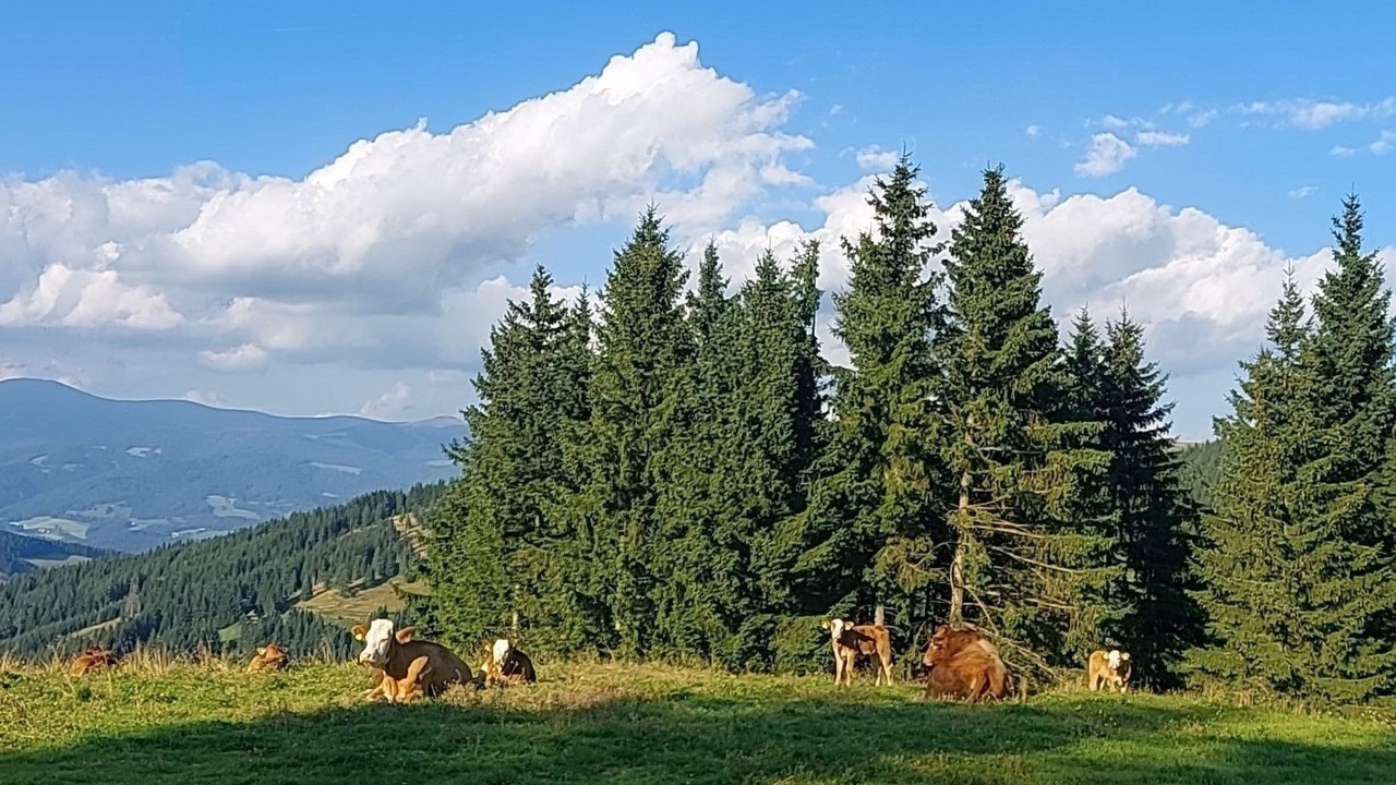 Photo of Others in Bad Sankt Leonhard im Lavanttal