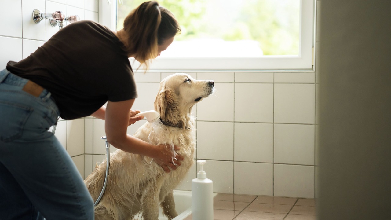 Photo of Bathroom in Leutasch
