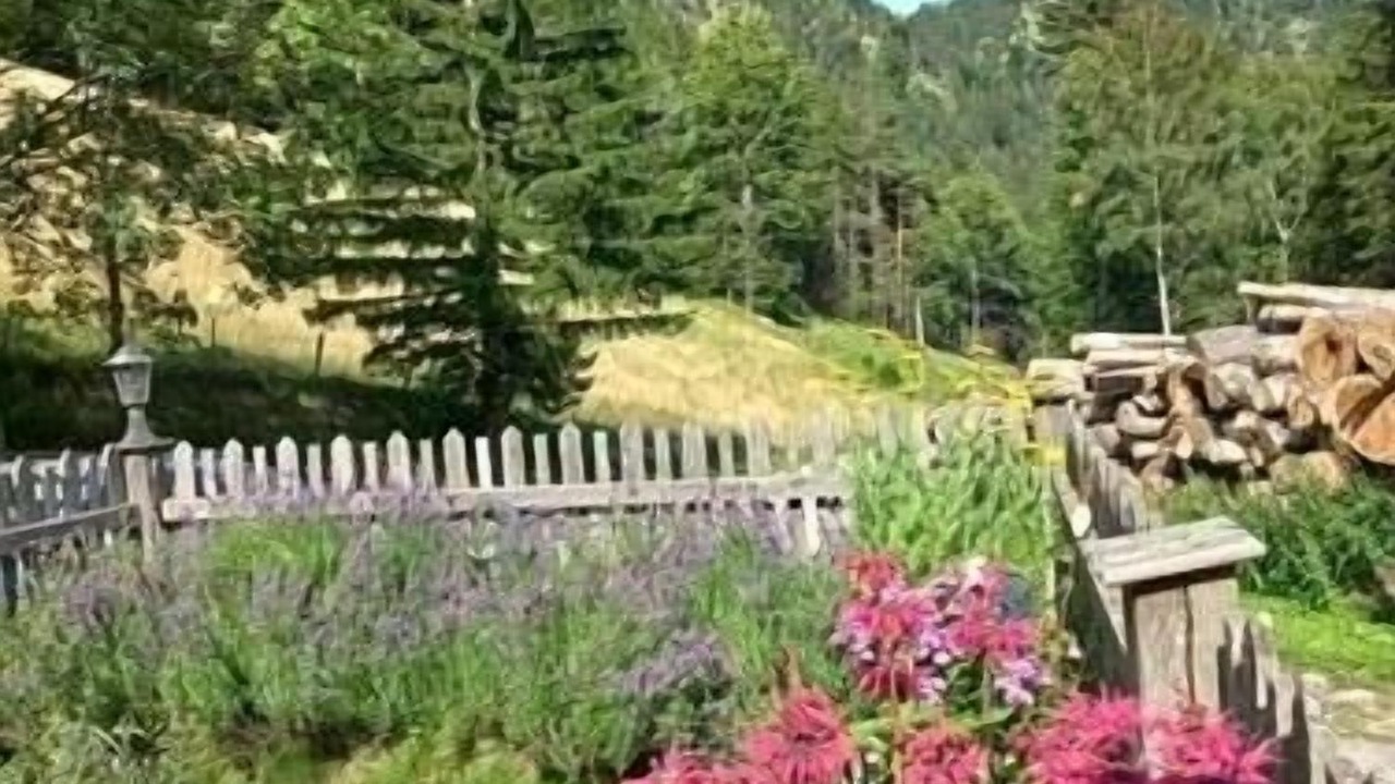 Photo of Others in Puchberg Am Schneeberg