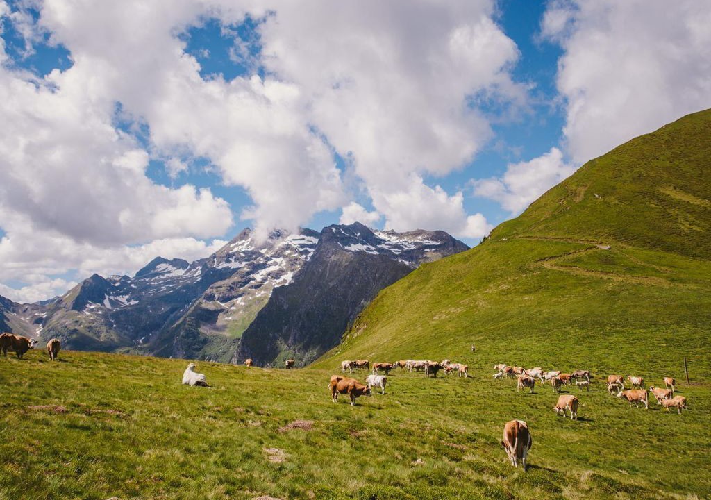 Photo of Others in Pruggern