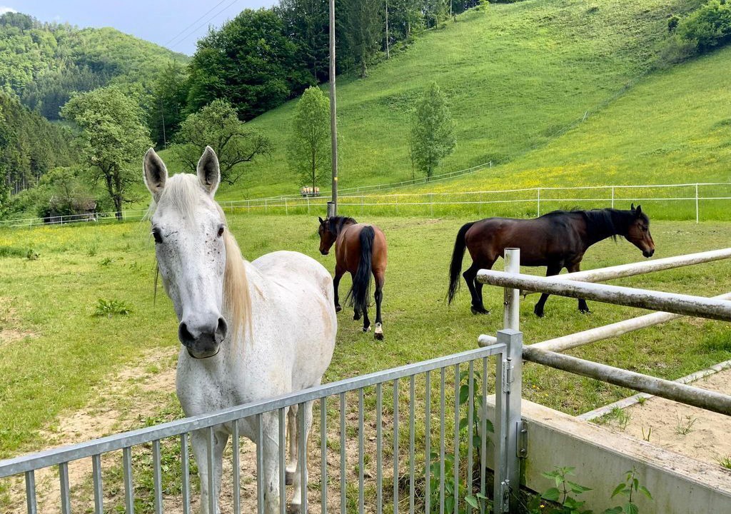 Photo of Others in Unterdambach