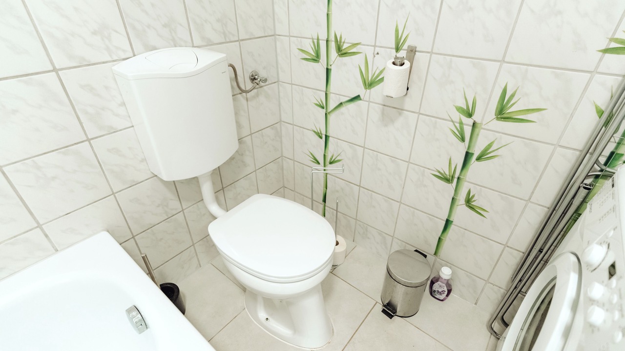 Photo of Bathroom in Graz City Centre