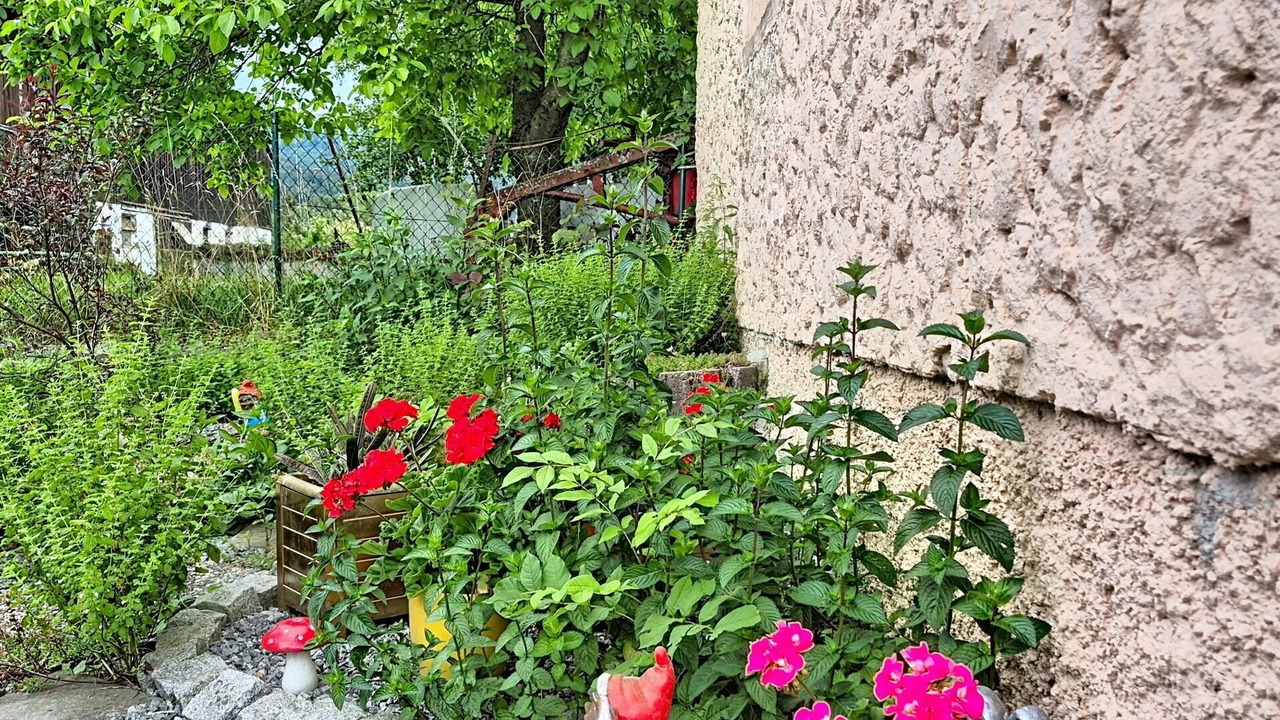 Photo of Outdoor in Klaffer am Hochficht