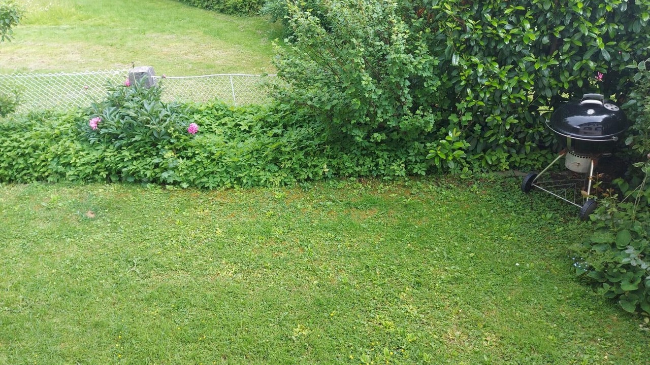 Photo of Outdoor in Hoechst