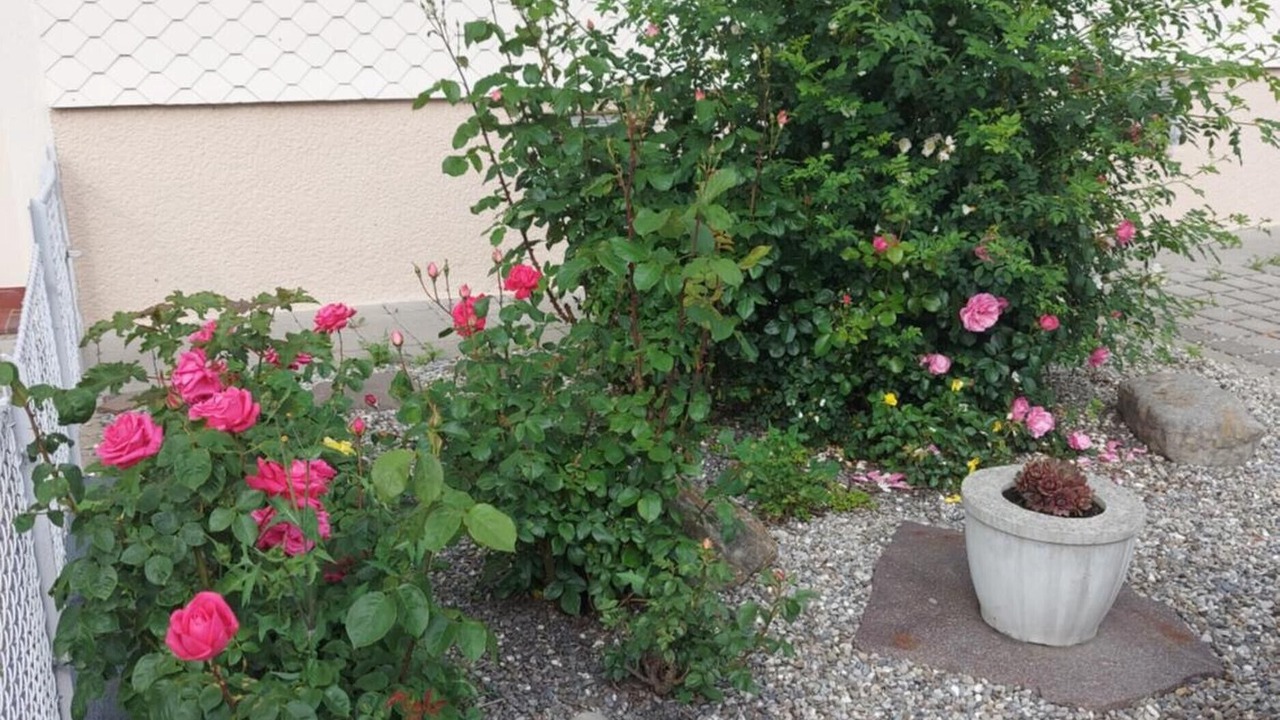 Photo of Outdoor in Hoechst