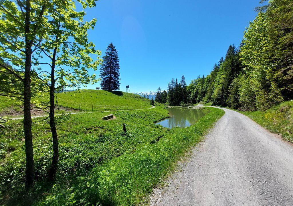 Photo of Others in Bludenz