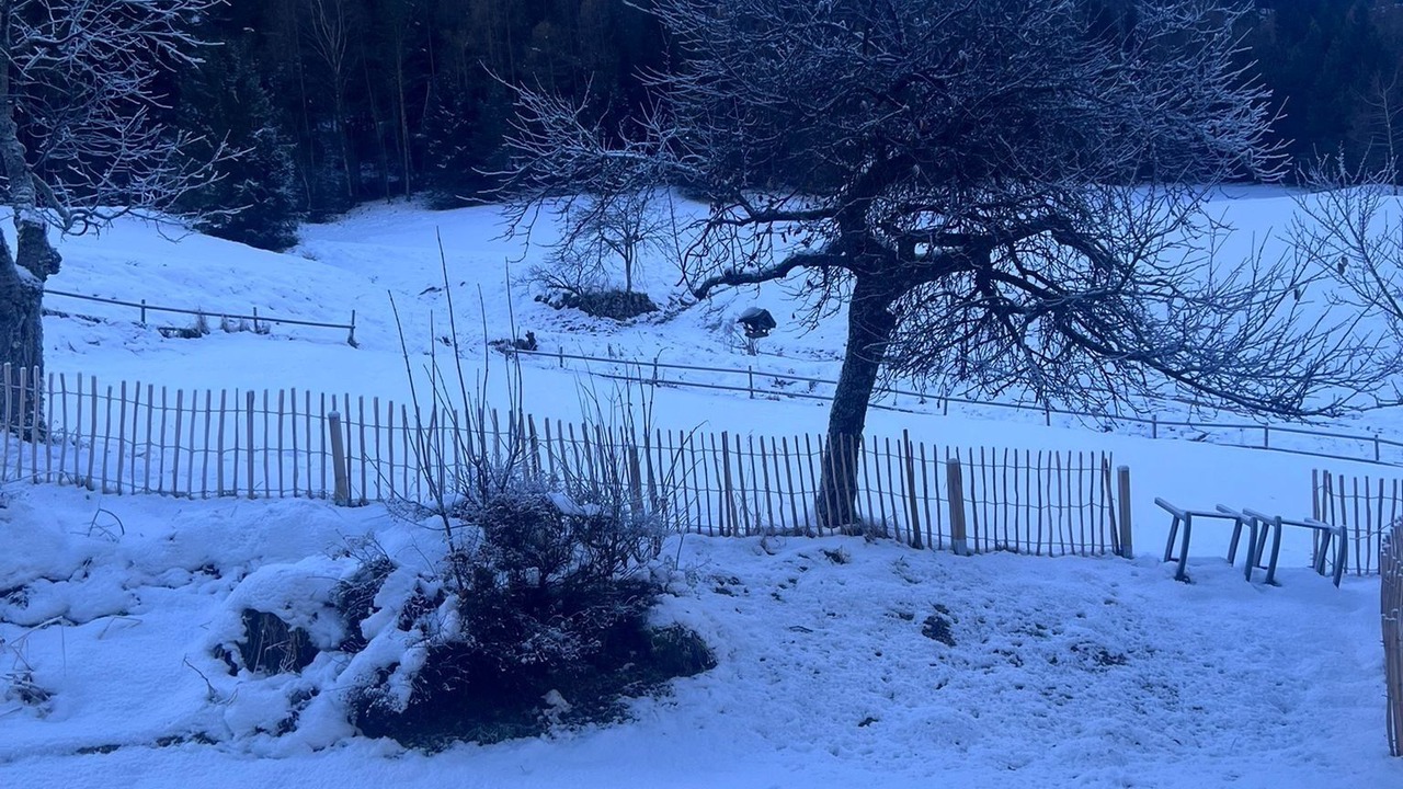 Photo of Others in Bad Bleiberg