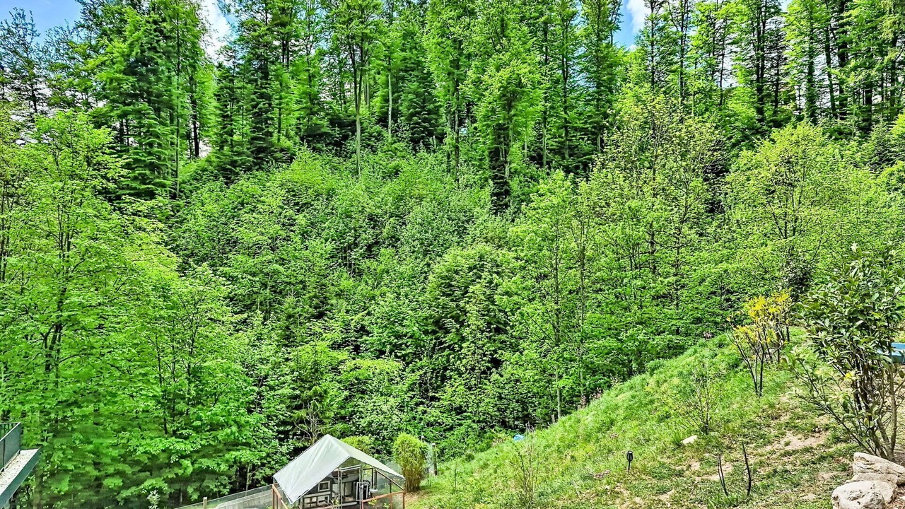 Photo of Others in Gnadenwald