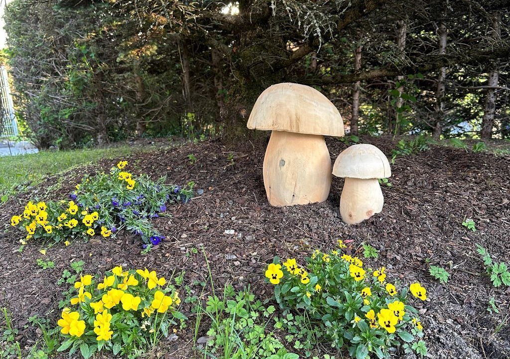 Photo of Outdoor in Jerzens