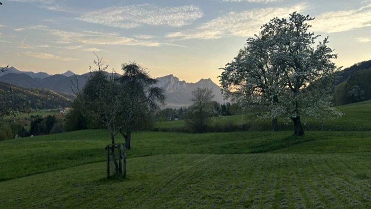 Photo of Others in Innerschwand