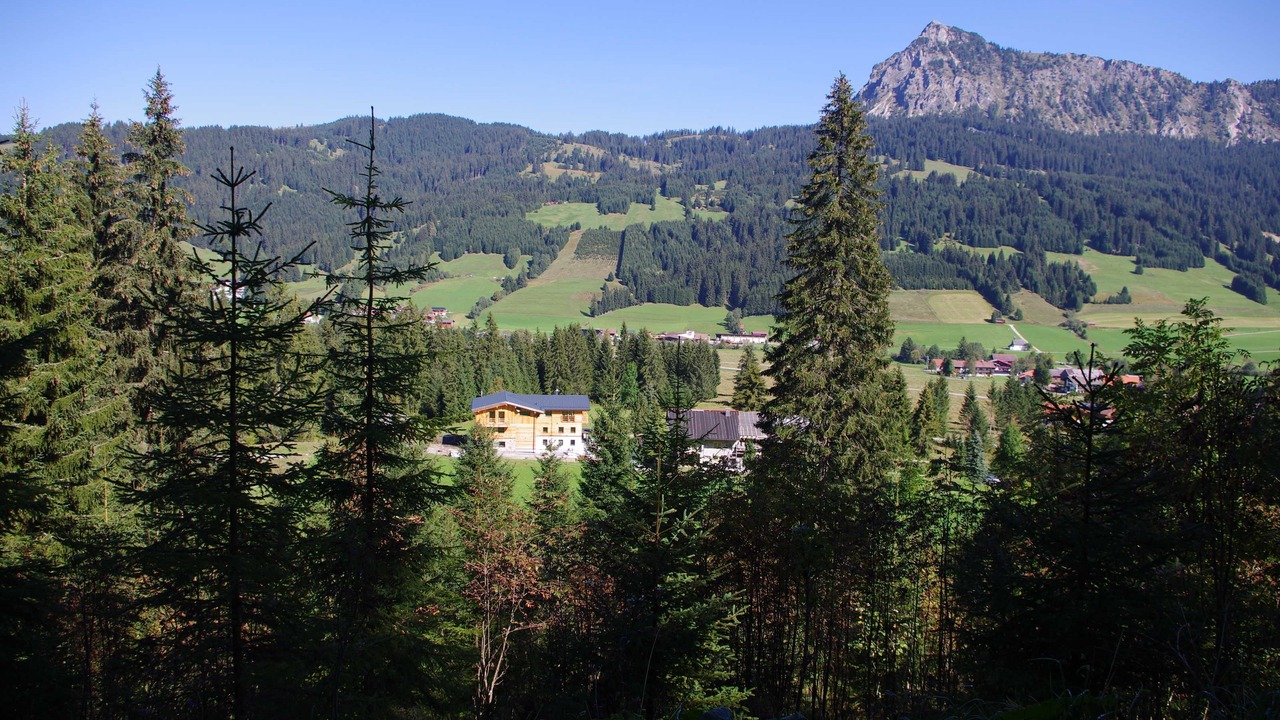 Photo of Others in Tannheim