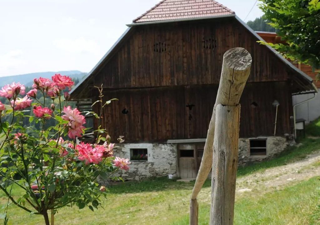 Photo of Outdoor in Deutsch-Griffen