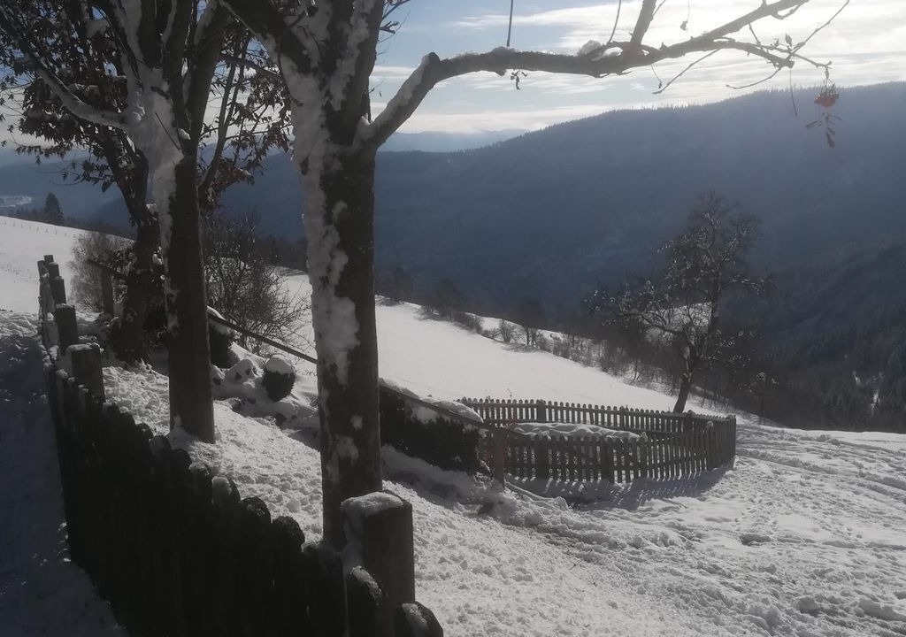 Photo of Outdoor in Deutsch-Griffen