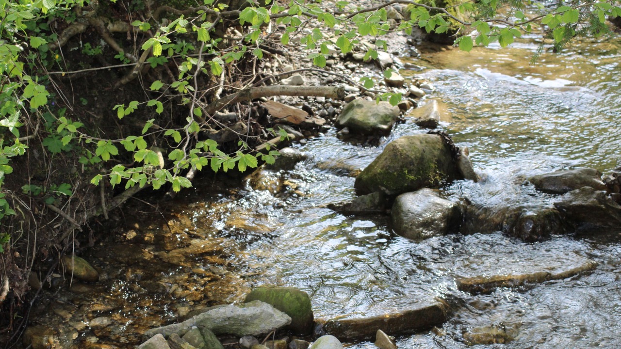 Photo of Others in Alberschwende