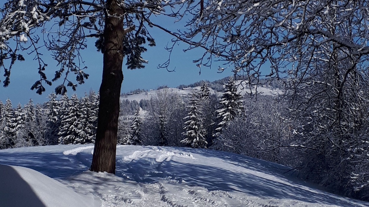 Photo of Others in Alberschwende