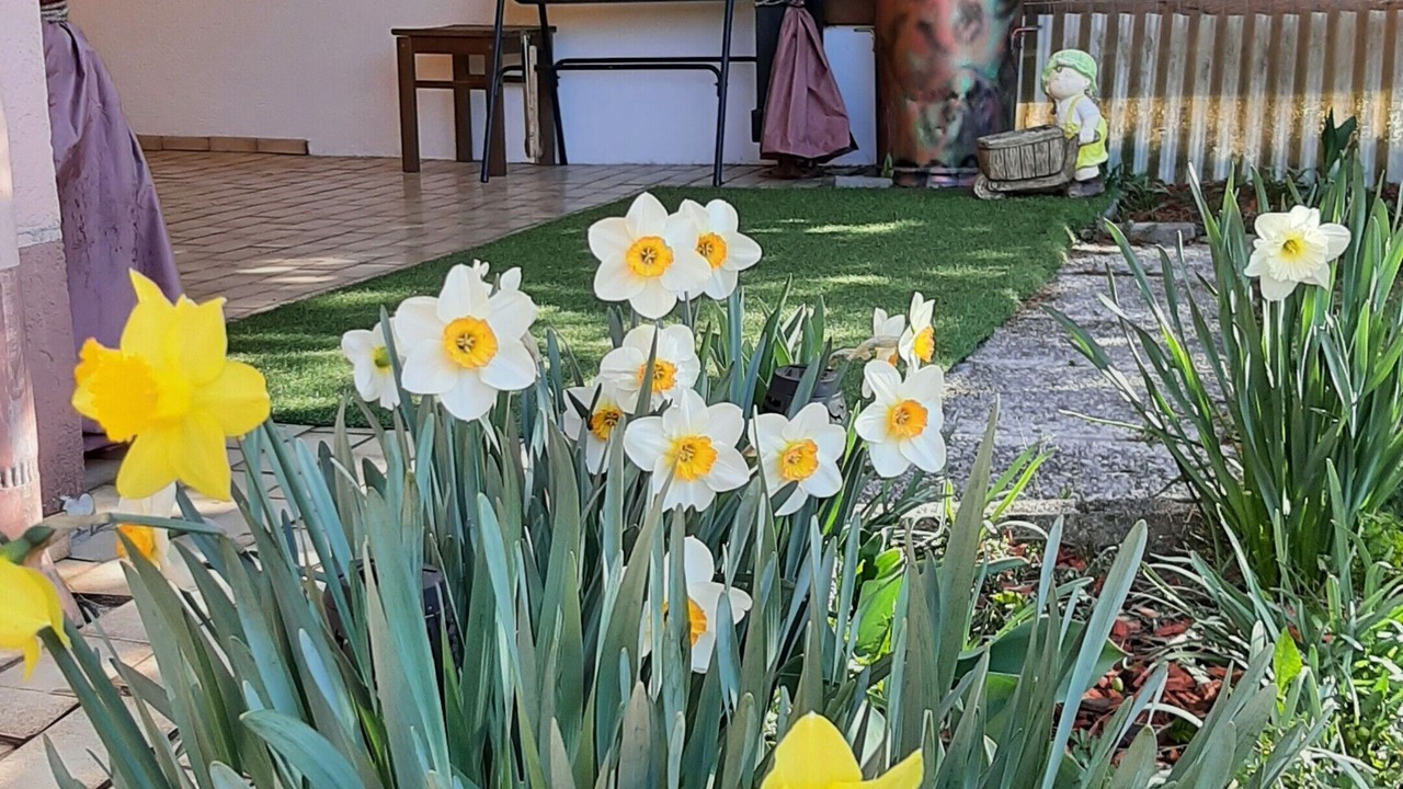 Photo of Outdoor in Spielberg