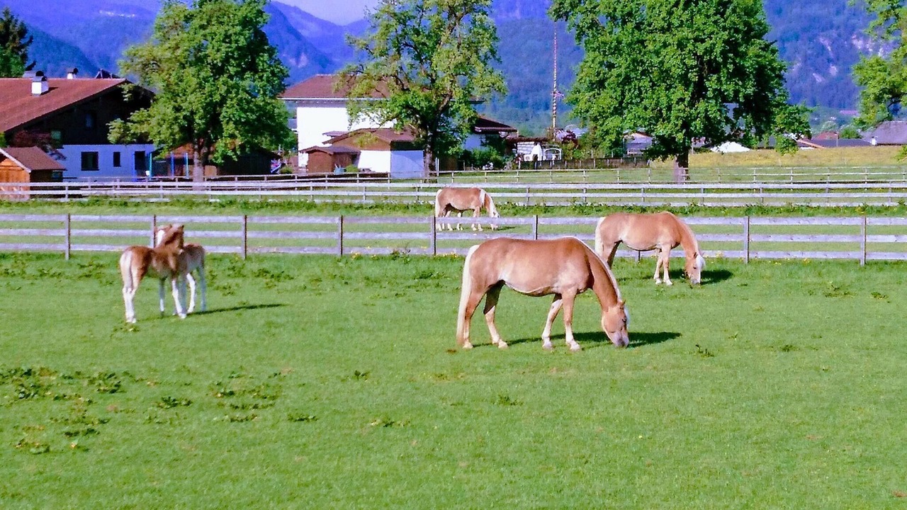 Photo of Outdoor in Ebbs