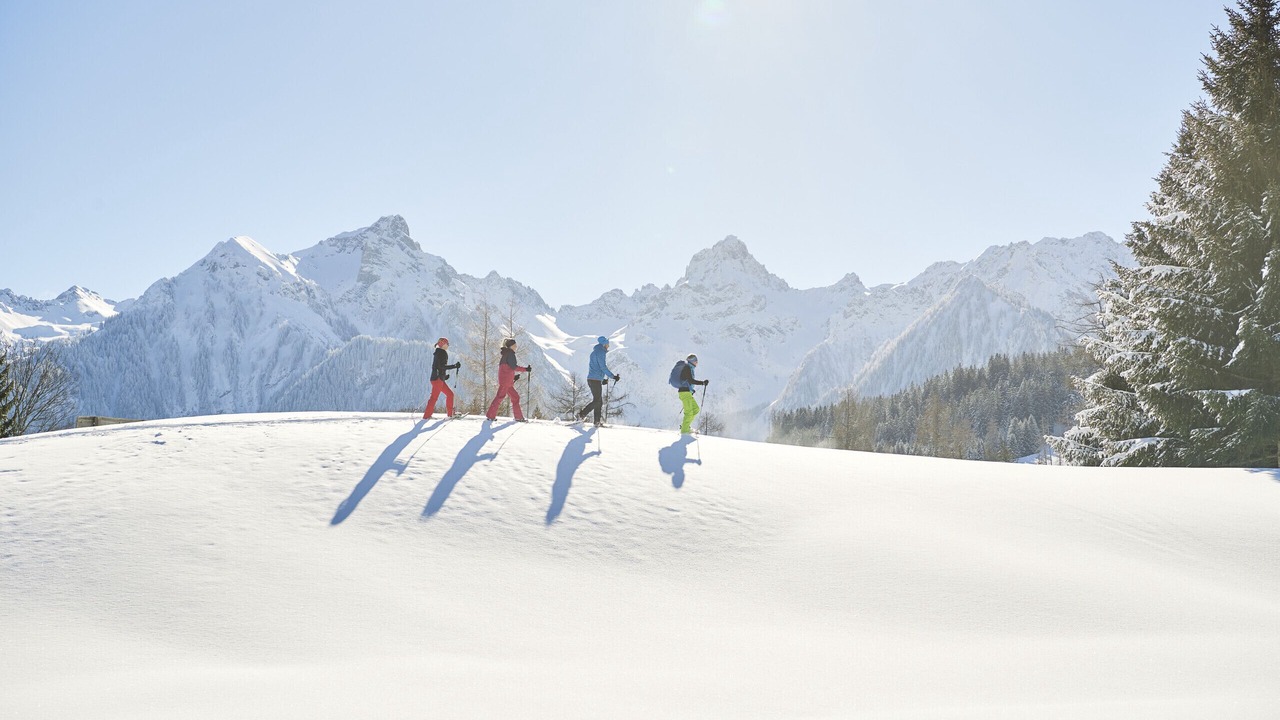 Photo of Others in Buerserberg