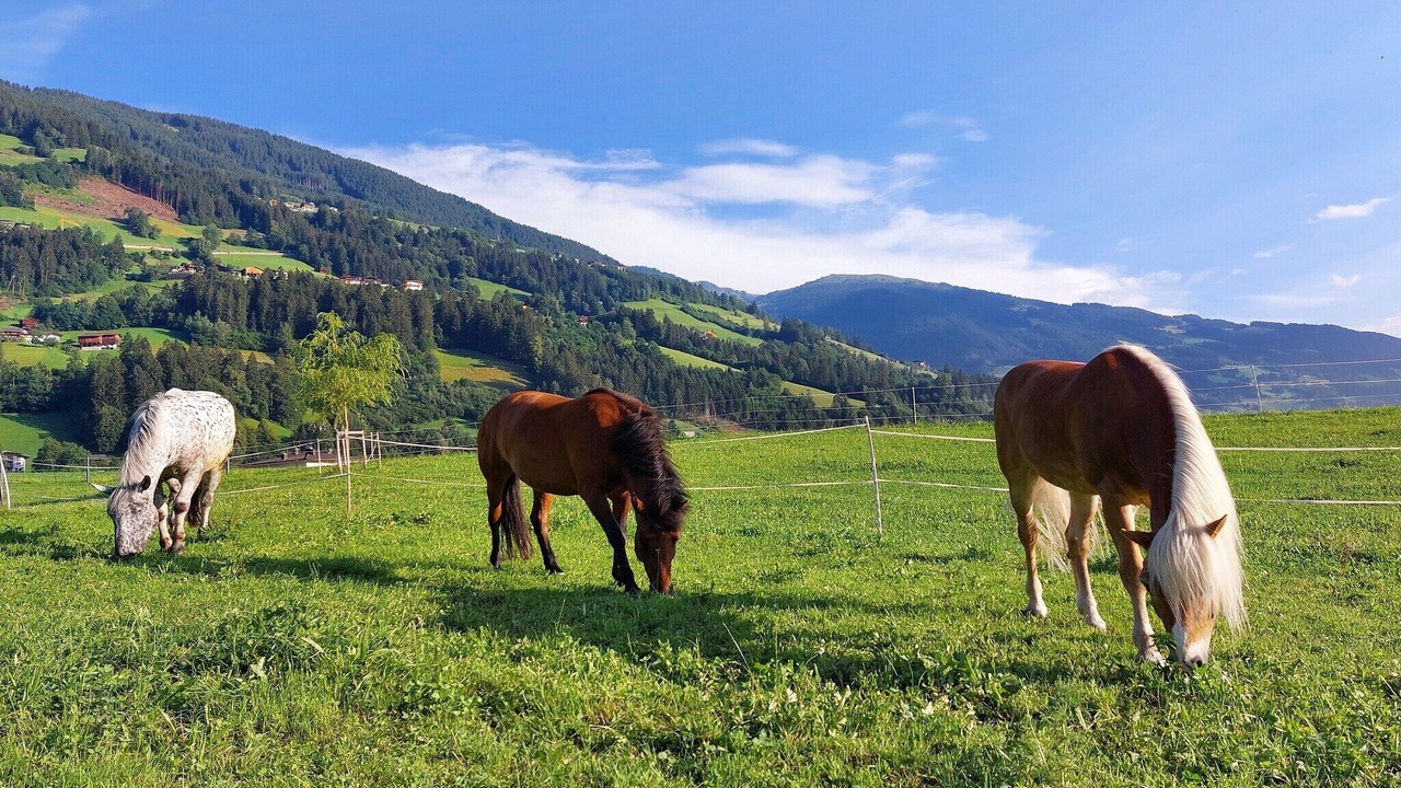 Photo of Others in Ramsau im Zillertal