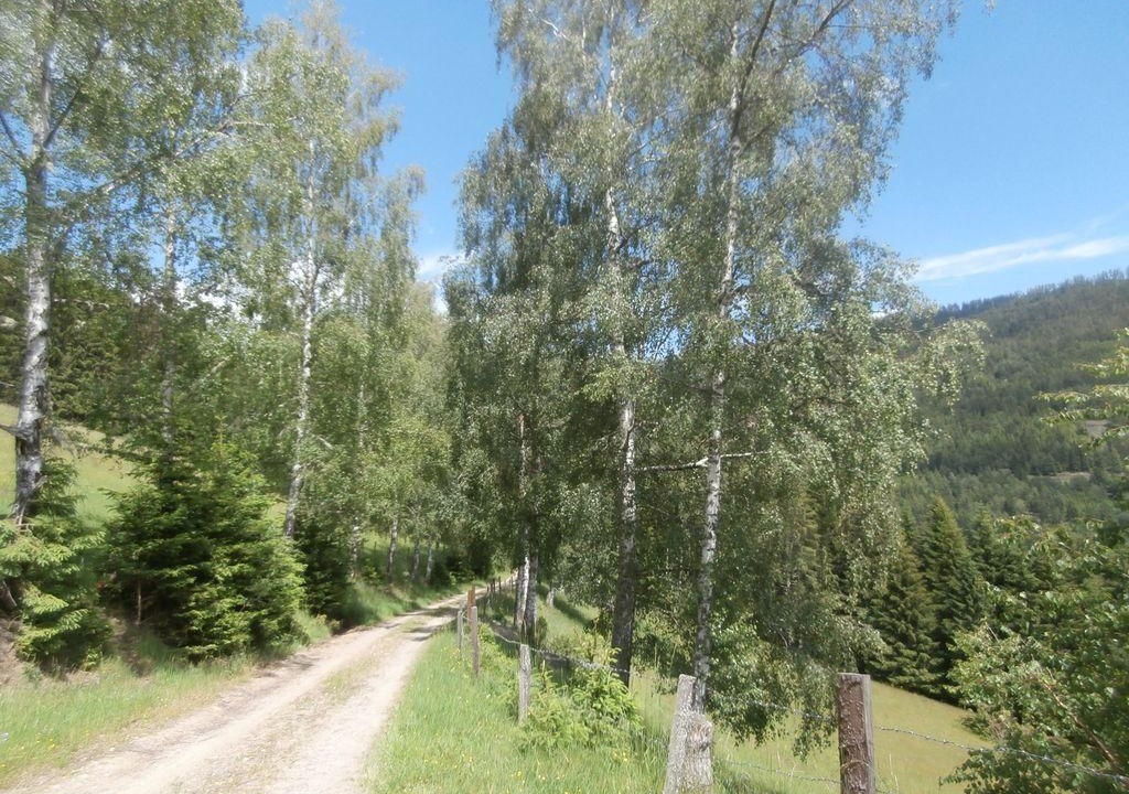 Photo of Others in Gloednitz
