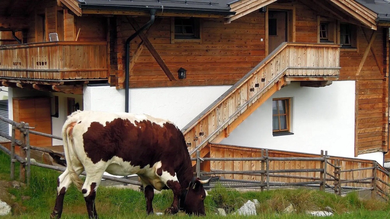 Photo of Outdoor in Hochkrimml