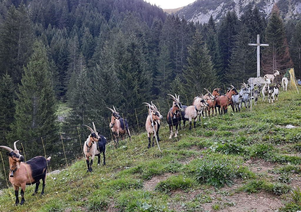 Photo of Others in Faschina