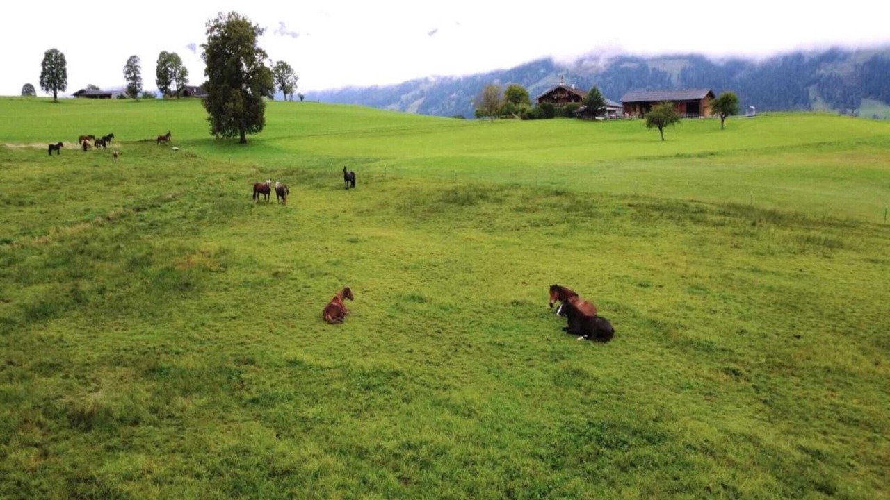 Photo of Others in Saalfelden am Steinernen Meer