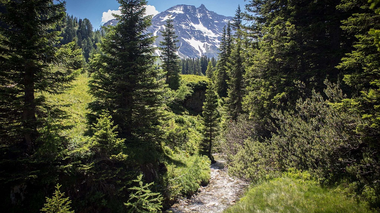 Photo of Outdoor in Rauris