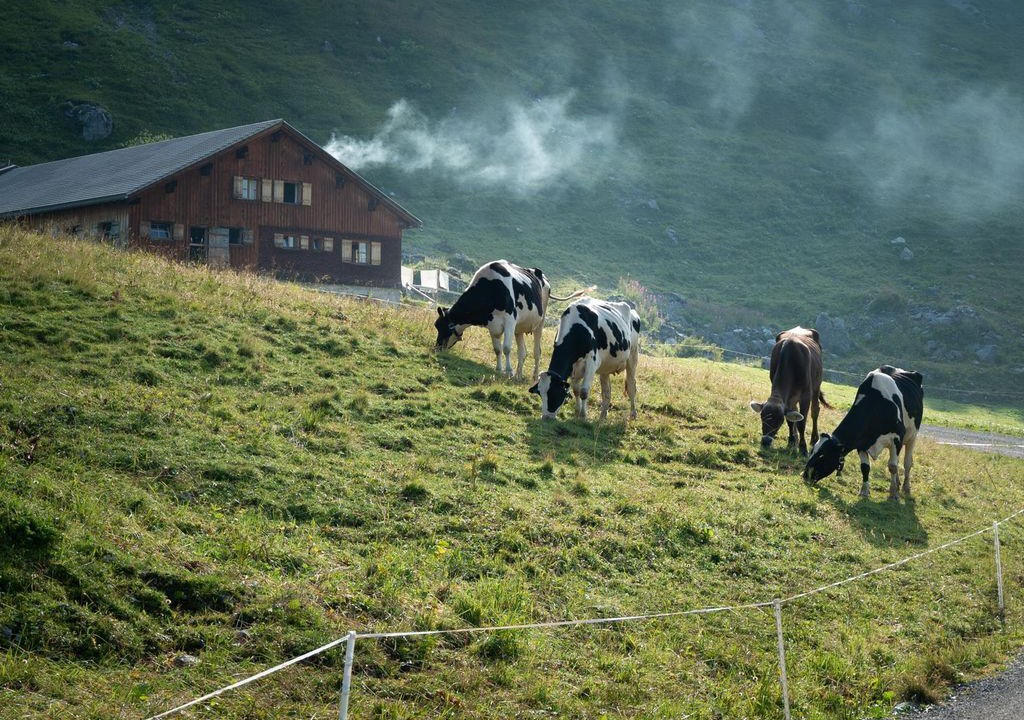 Photo of Others in Warth