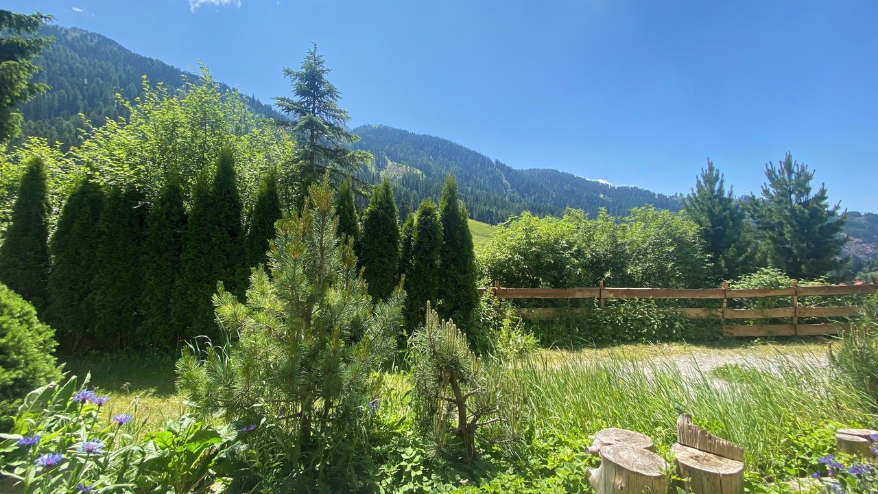 Photo of Outdoor in Ochsengarten