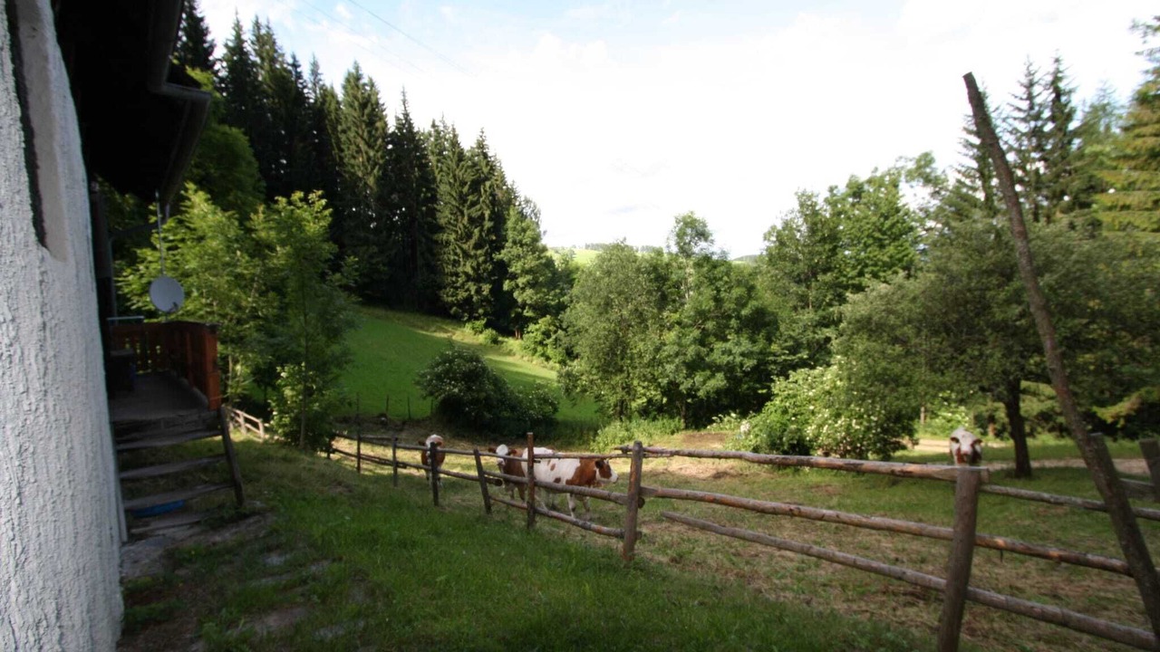 Photo of Others in Wolfsberg