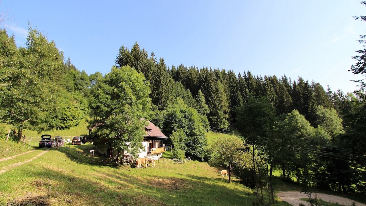 Photo of Others in Wolfsberg