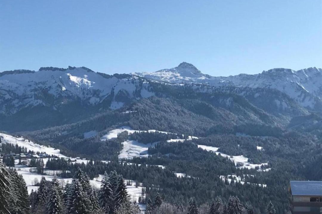 Photo of Others in Sibratsgfaell