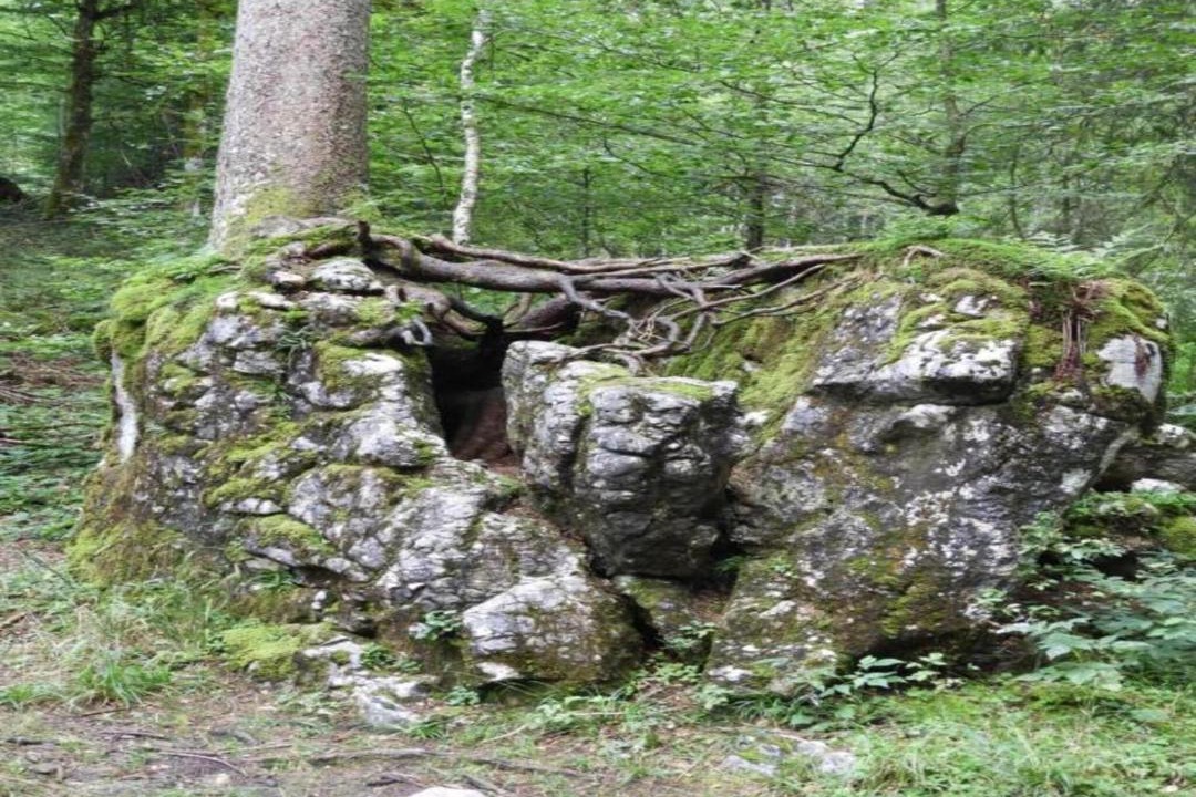 Photo of Others in Sibratsgfaell