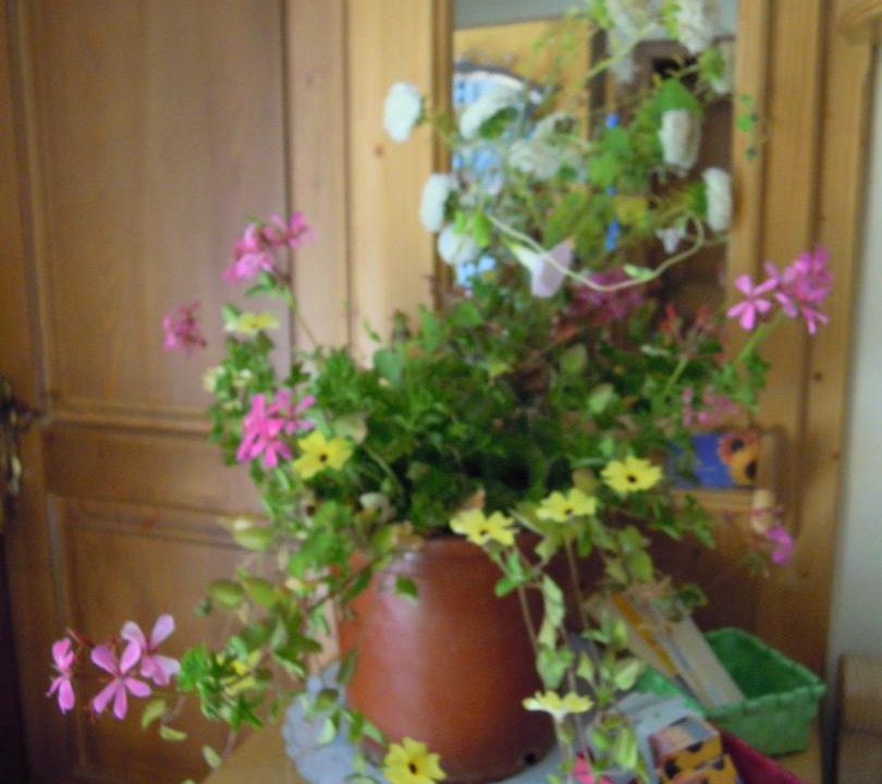 Photo of Others in Murau