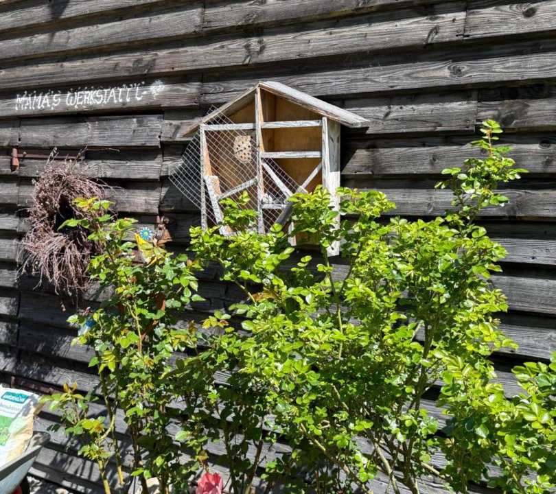 Photo of Others in Schoenberg im Stubaital