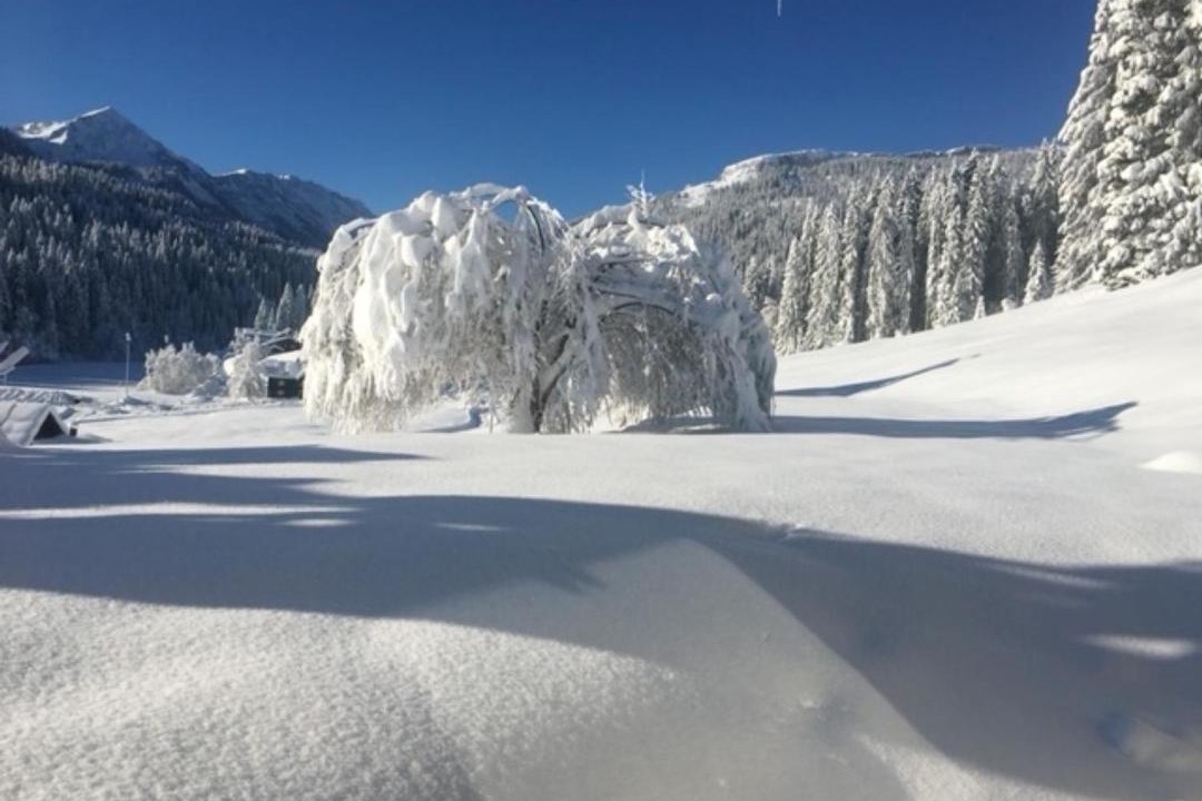 Photo of Others in Mittelberg