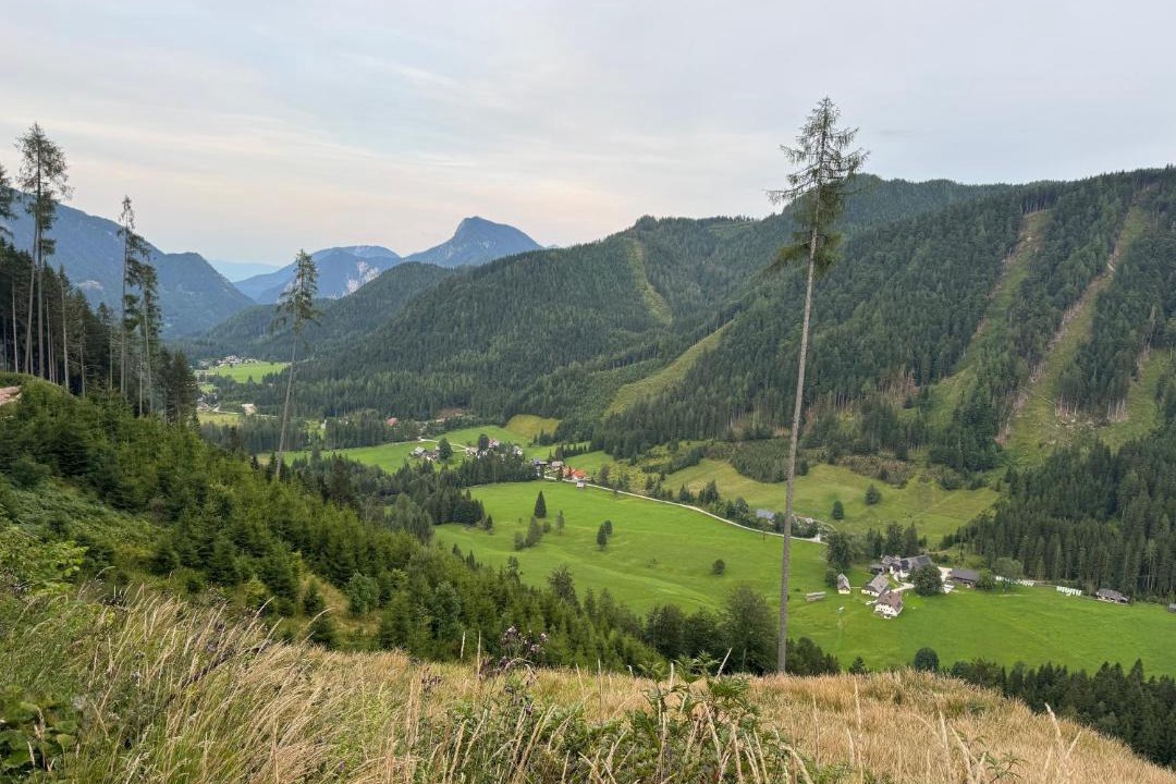 Photo of Others in Ferlach