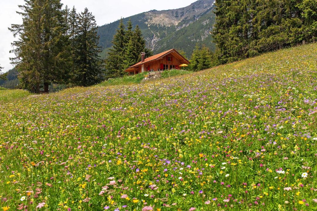 Photo of Others in Berwang