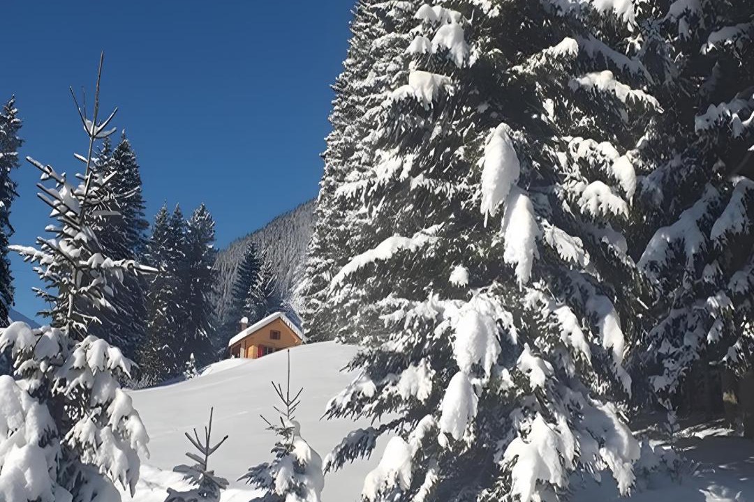 Photo of Others in Berwang