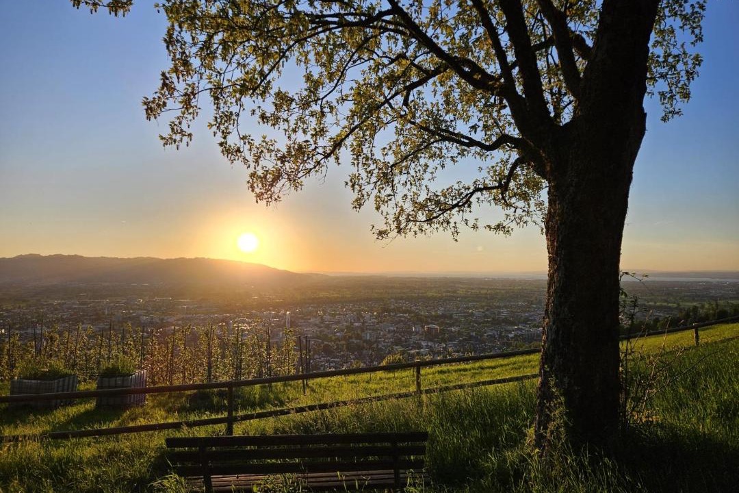 Photo of Others in Dornbirn