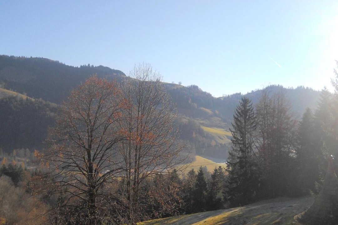 Photo of Others in Niederndorferberg