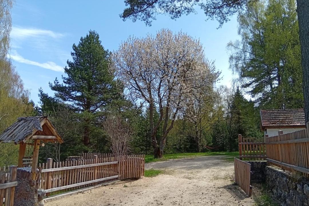 Photo of Others in Bad Großpertholz