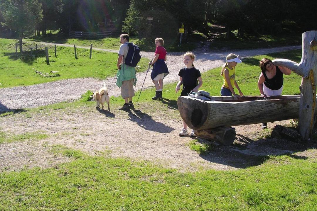 Photo of Others in Auffach