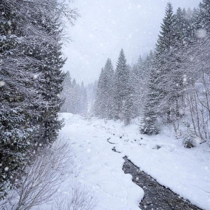 Photo of Others in Mittelberg