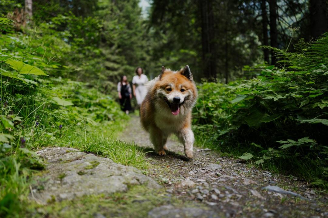 Photo of Others in Klosterle