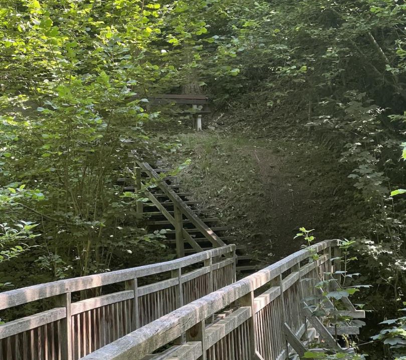 Photo of Others in Kirchberg am Wechsel
