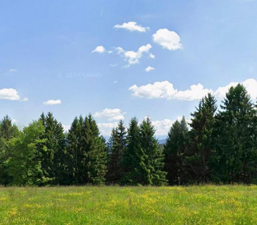 Photo of Others in Himmelberg