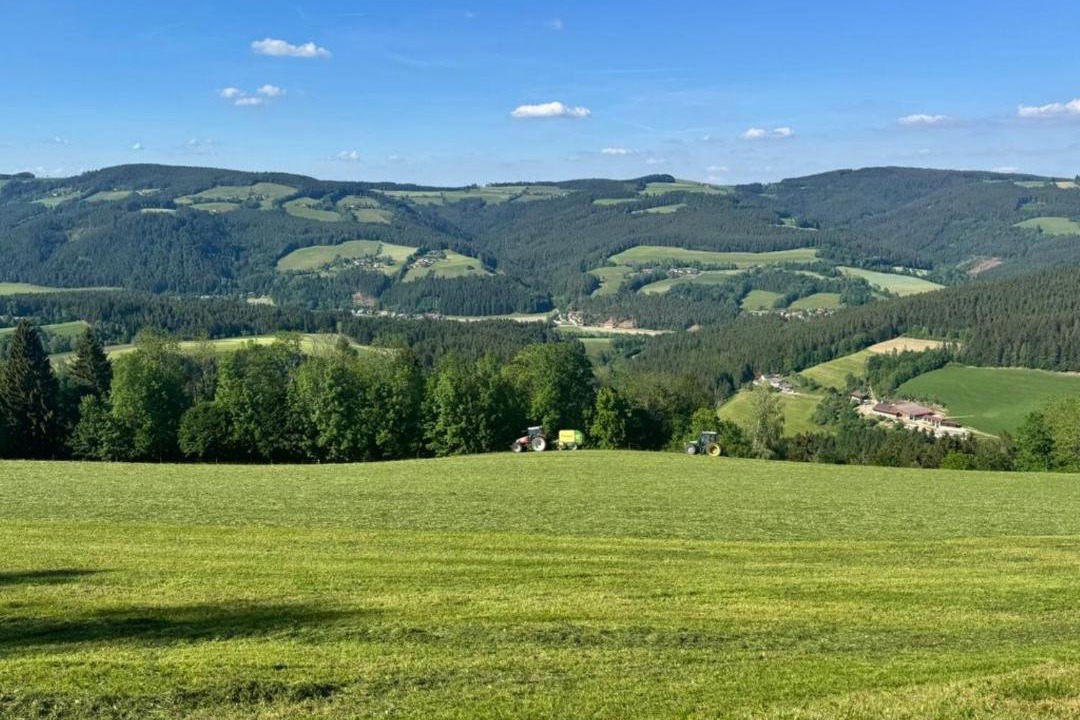 Photo of Others in Sankt Corona am Wechsel